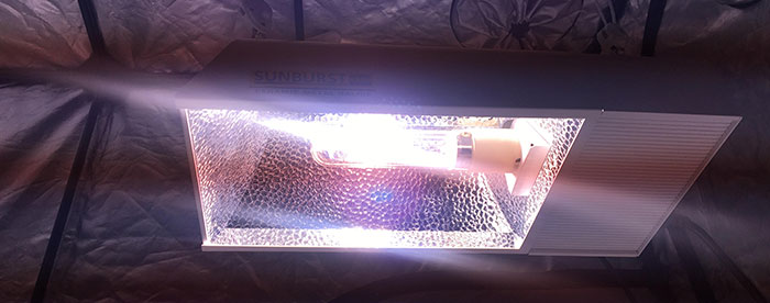 Why you need to replace your grow light reflector just like your bulbs