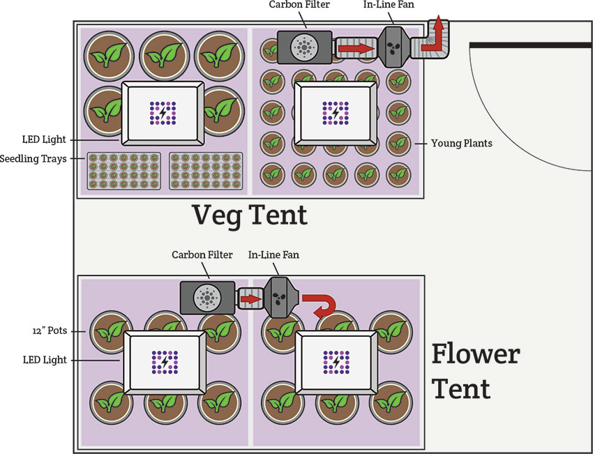 4' x 8' veg chamber, 4' x 8' flowering tent setup and design
