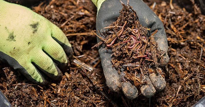 brew-tea How To Make Compost Tea - Step By Step Guide