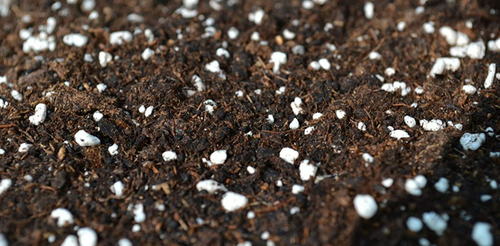 bone-meal-soil-amendment Bone Meal As A Soil Amendment