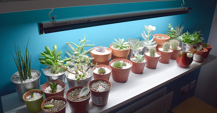 best-fluorescent What Makes The Best Fluorescent T5 Grow Light Fixture?