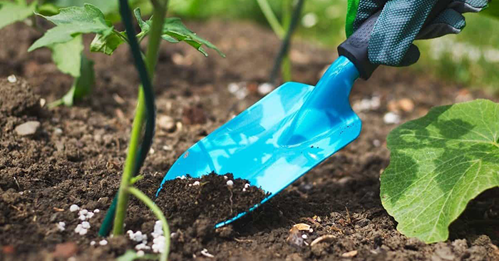 use-bone-meal Using Bone Meal For Soil Plants