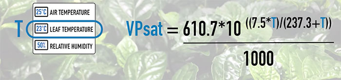 VPD vapor pressure defecit guide