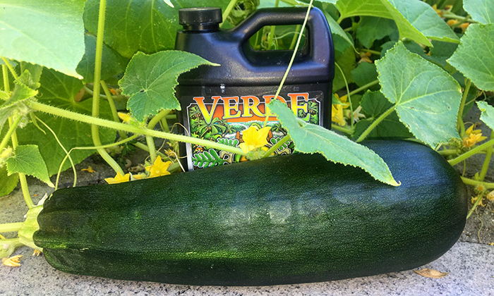 The best plant nutrients