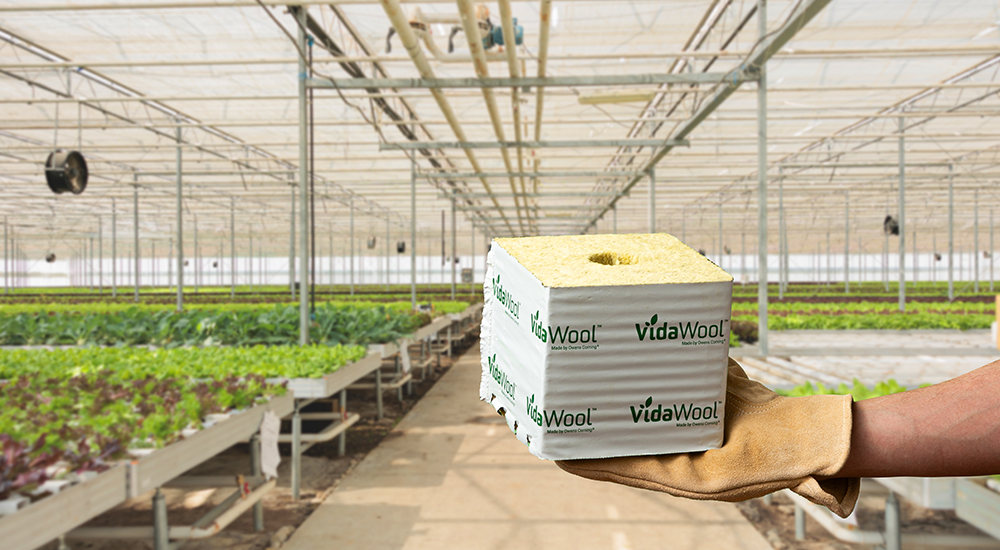 VidaWool Rockwool Block In Greenhouse VidaWool Rockwool