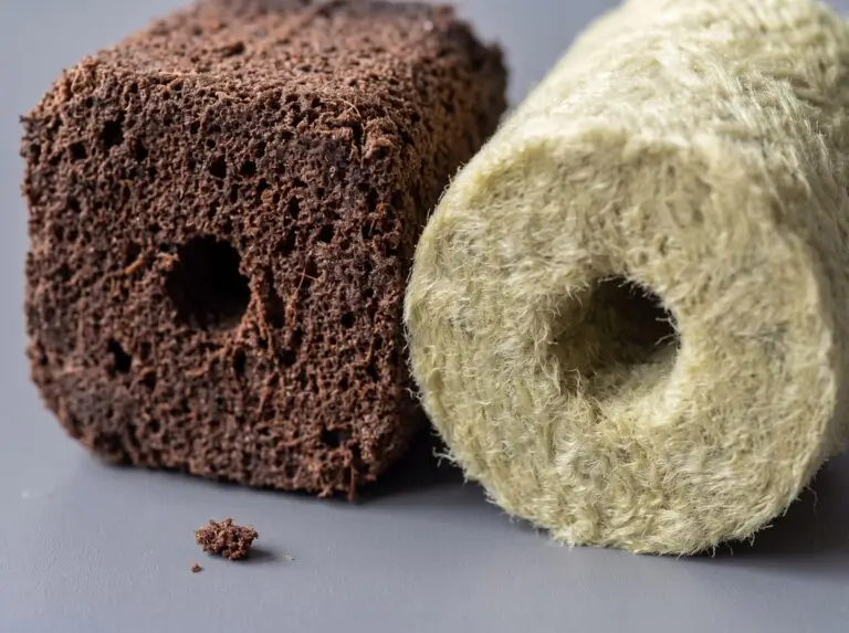 Side-by-side comparison of iHort Q-PLUG starter plugs and VidaWool rockwool cubes for plant cloning