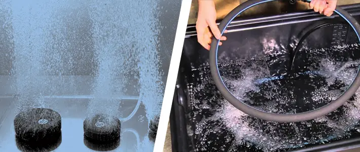 air stone vs air diffuser