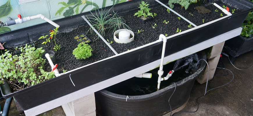 The Best Hydroponic Water Pump Of 2021