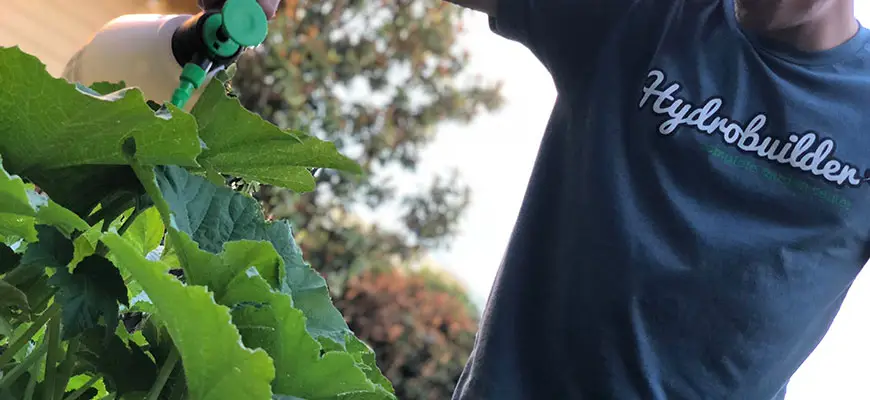 best garden pesticide