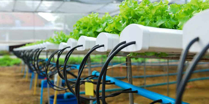 hydro-water-pumps What Are The Best Hydroponic Water Pumps Of 2025?