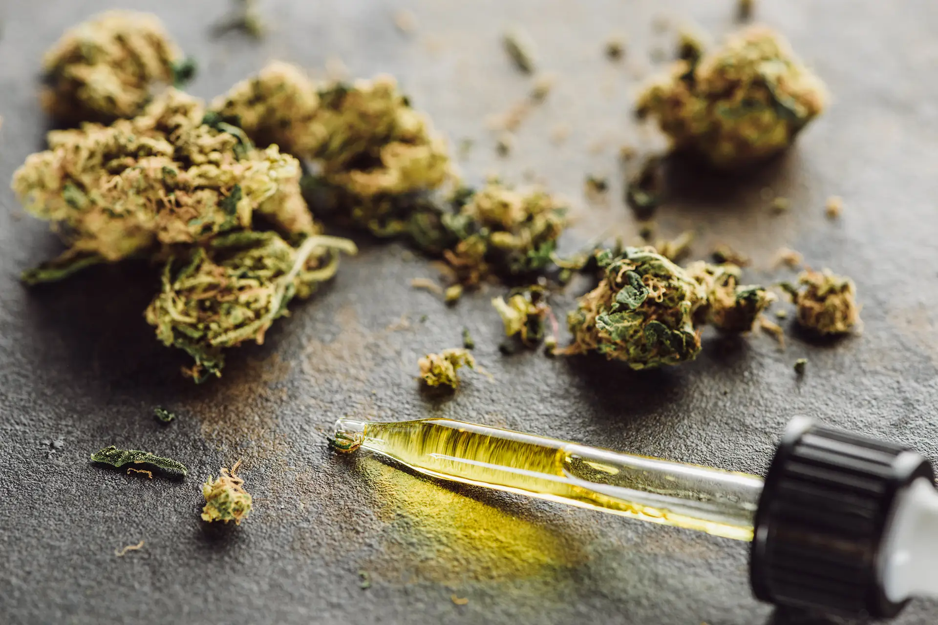 cannabis extraction