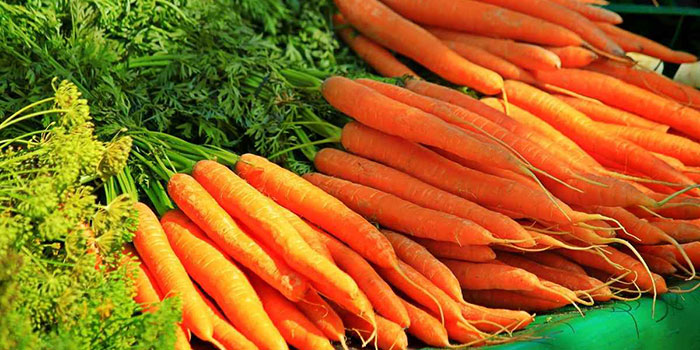 carrots What Are The Benefits Of Growing Carrots Hydroponically?
