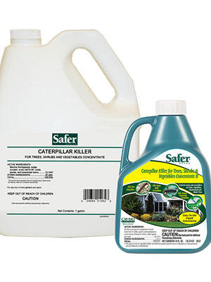 Best Pesticide For Caterpillars & Worms: Safer Brand Caterpillar Killer