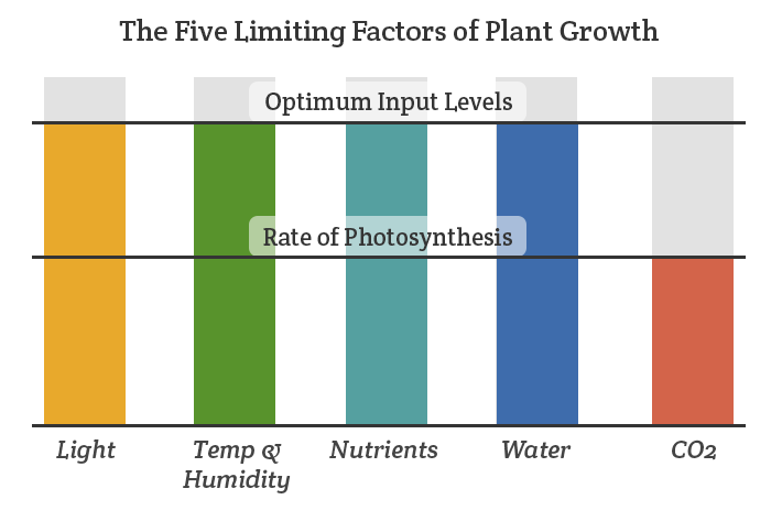 CO2 the importance of environment and atmopshere in grow room