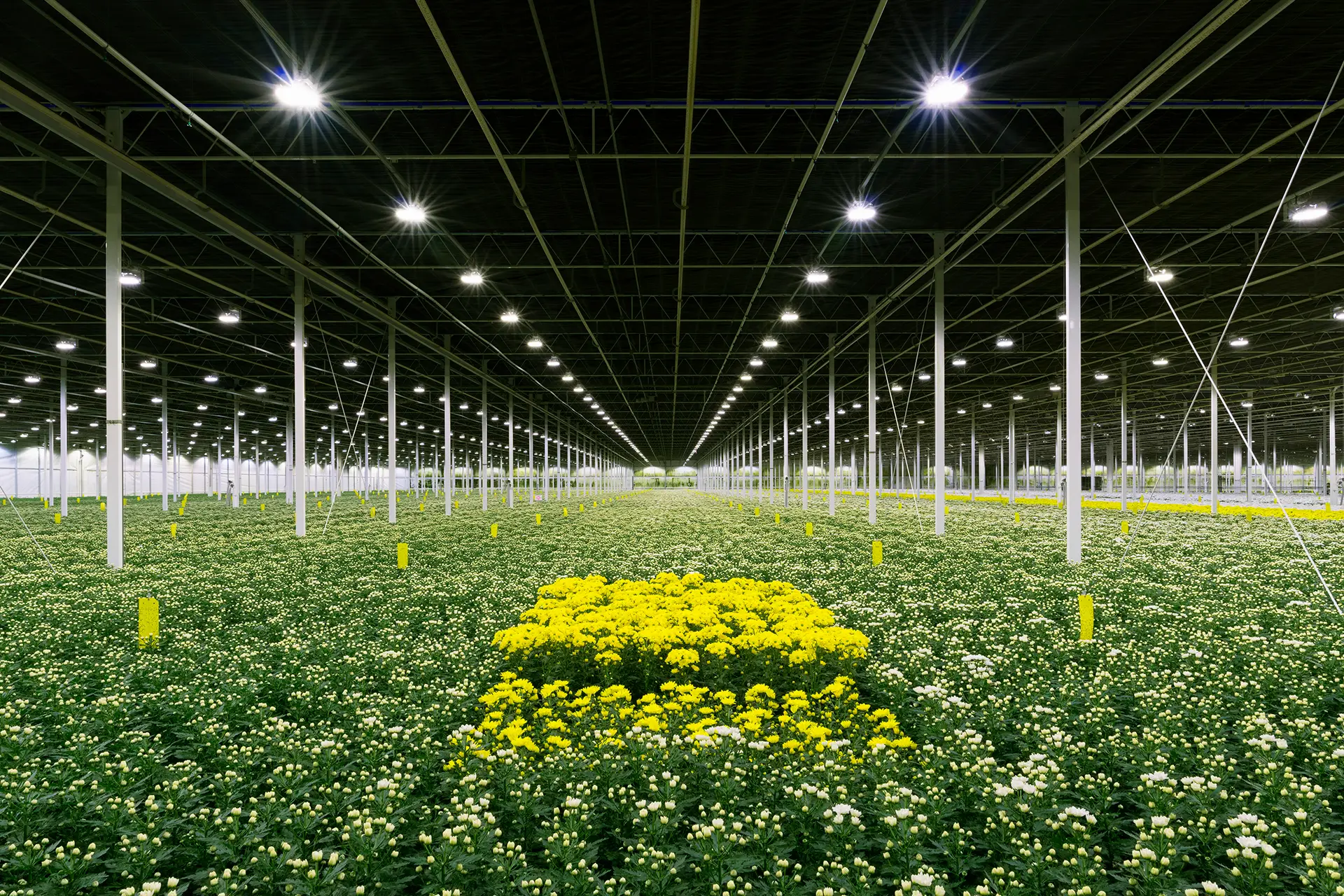 commercial grow facility