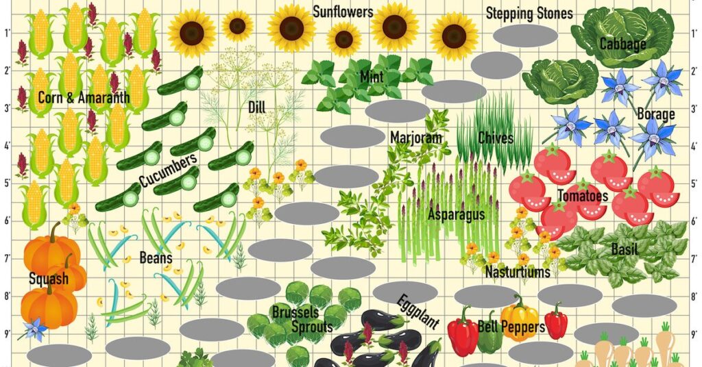 garden companion planting chart