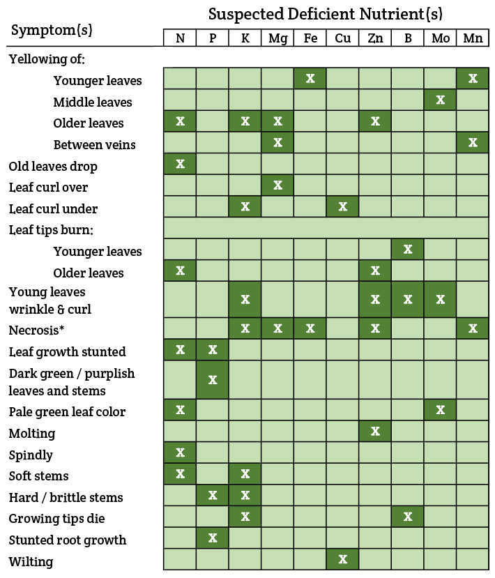 plant nutrient deficiency chart