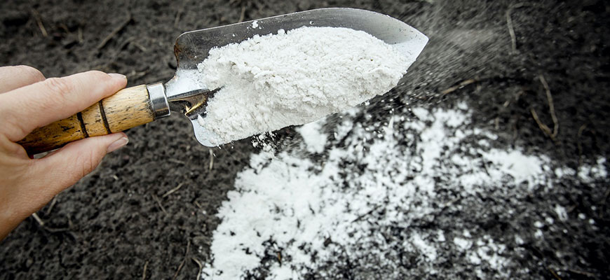 How To Use Dolomite Lime For Plants