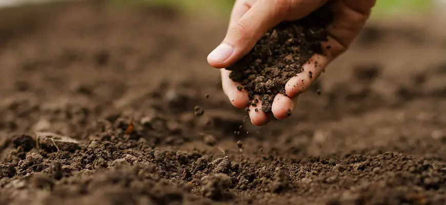 Dry Organic Amendments