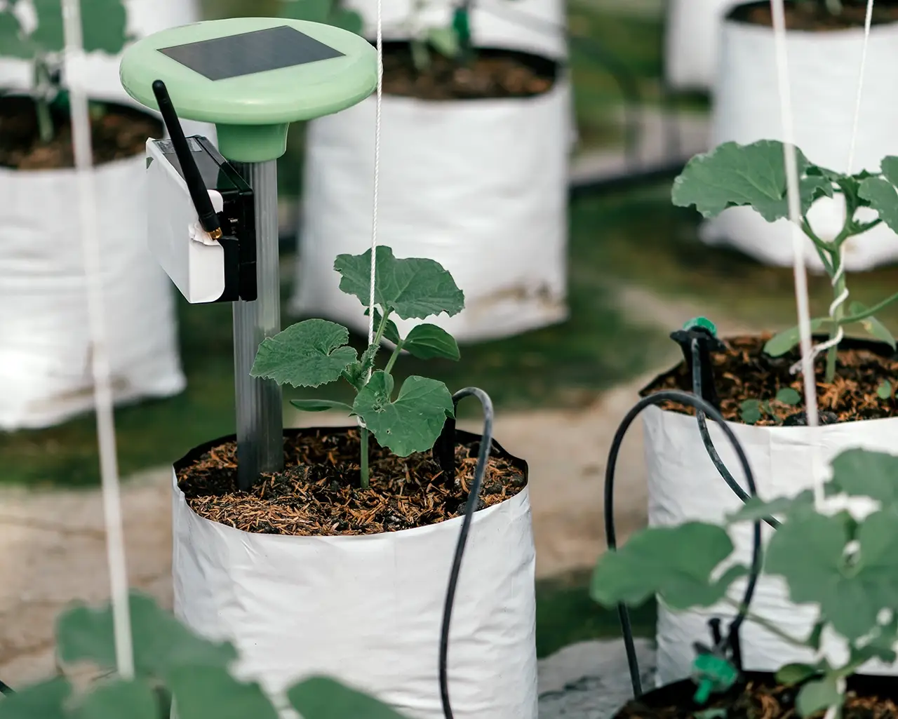 Drippers for irrigation automation