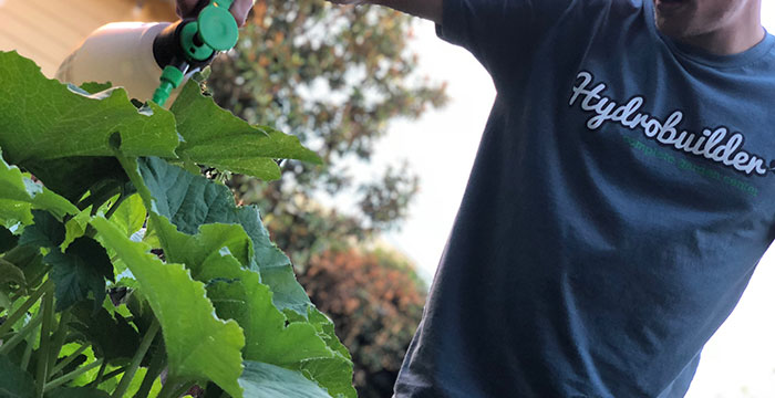 sulfur-pest-control Best Practices When Using Sulfur For Pest Control?