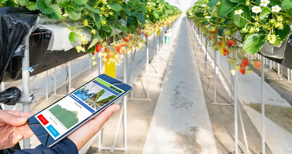Using technology in a greenhouse