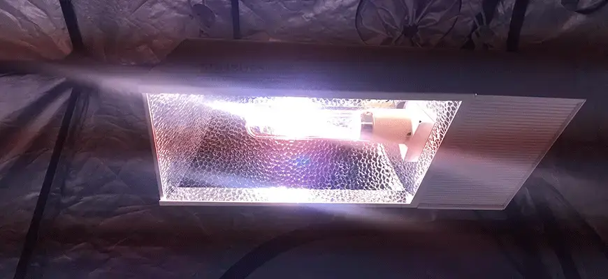 Different Types of Grow Light Bulbs