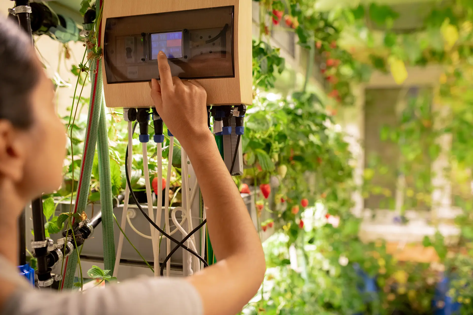 grow room automation