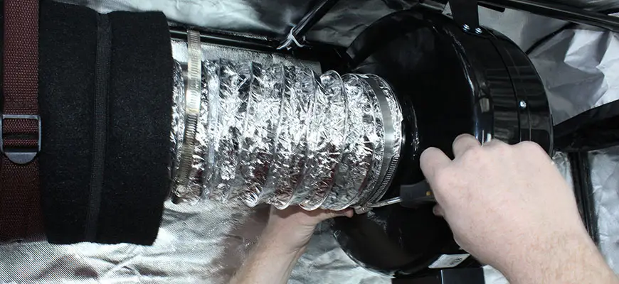 Grow Room Odor Control: Tips For Fighting Smells From Your Plants