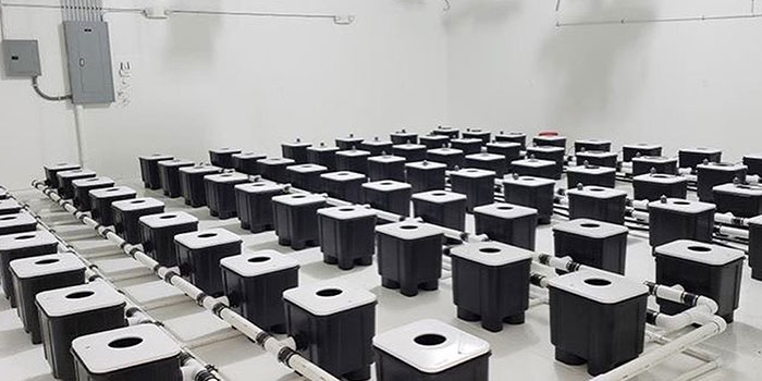 which-dehu What Size Humidifier Do I Need For My Grow Room?