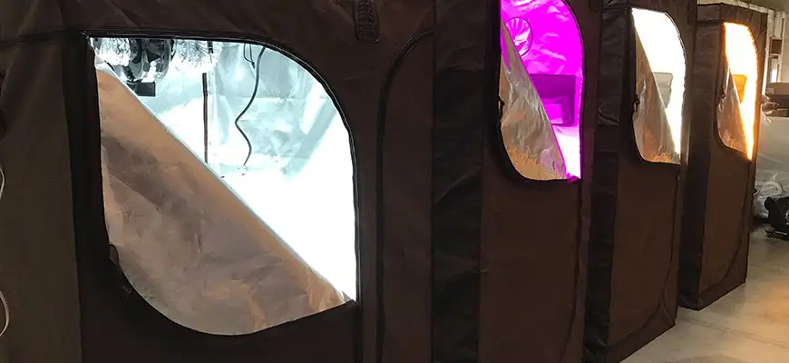 Grow Tent Buying Guide