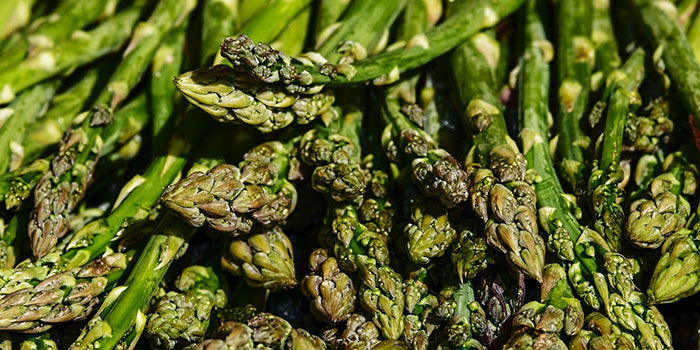 asparagus Why Grow Hydroponic Asparagus?