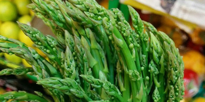 hydro-asparagus Asparagus Propagation - Seeds vs Clones