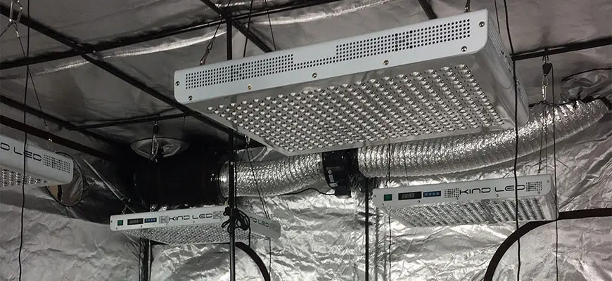 Growing with LED Grow Lights