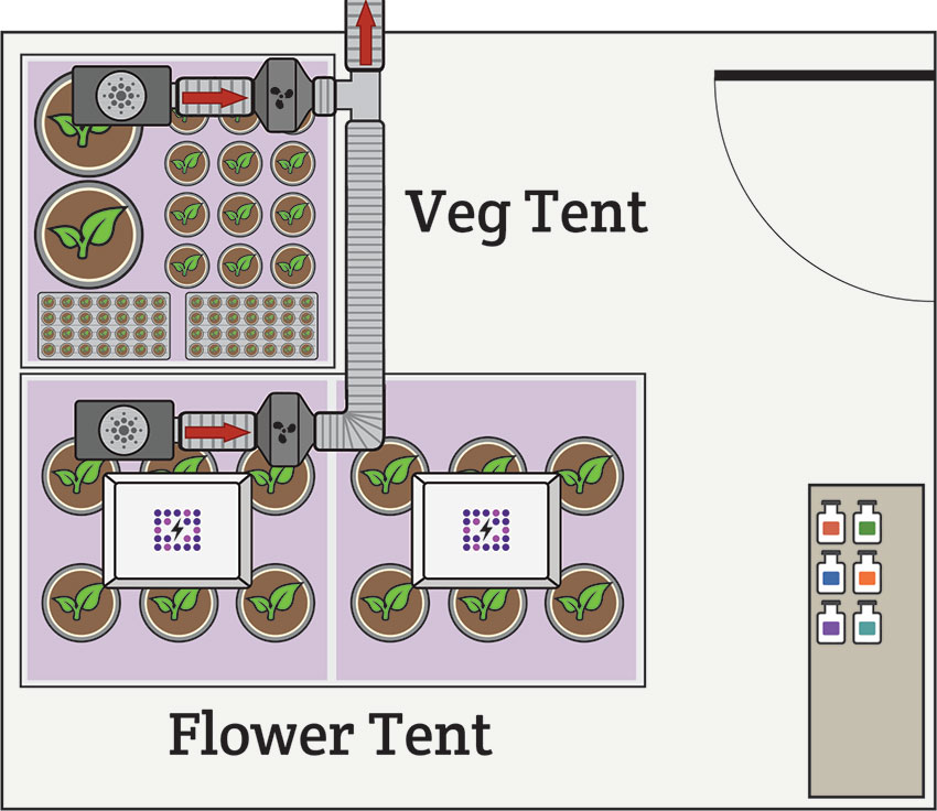 4' x 4' veg chamber, 4' x 8' flowering chamber