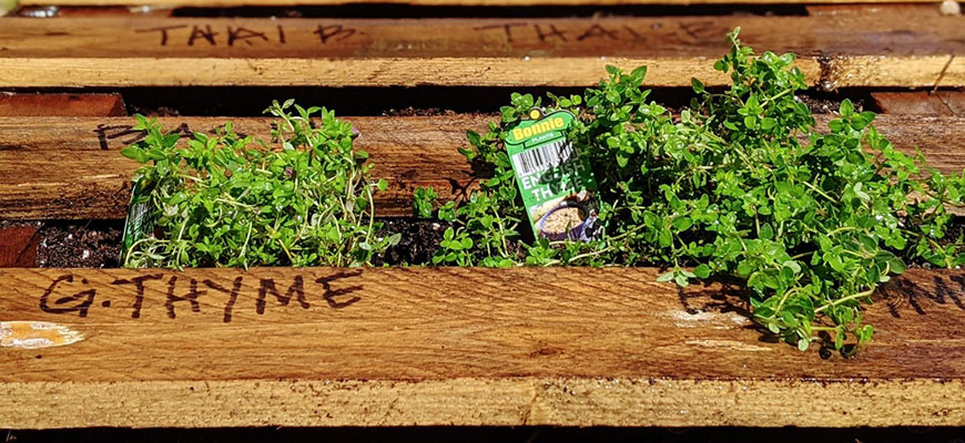 How To Make A Pallet Garden - Step By Step Guide