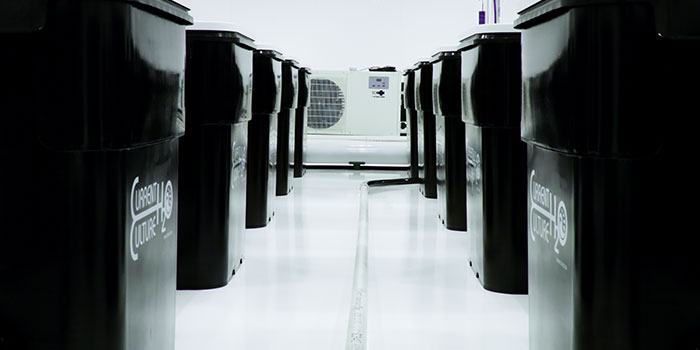 types-systems what are the different types of hydroponic systems?
