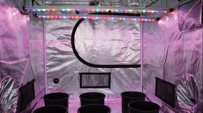 grow-cabinet grow cabinets and grow tents are both great ways to grow plants