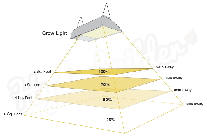 light-intensity-uniformity Light Intensity, Penetration, & Uniformity
