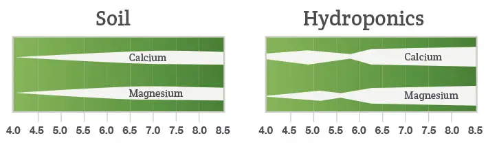 Nutrient availability chart showing magnesium is most available to plants at pH 5.8 to 6.5 in hydroponic systems