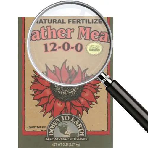 nitrogen deficiency in plants