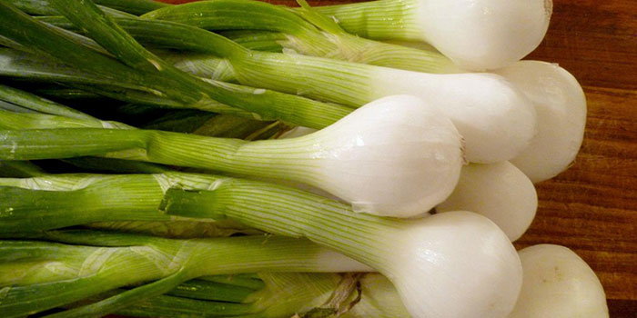 Start Your Onion Bulbs Or Seeds