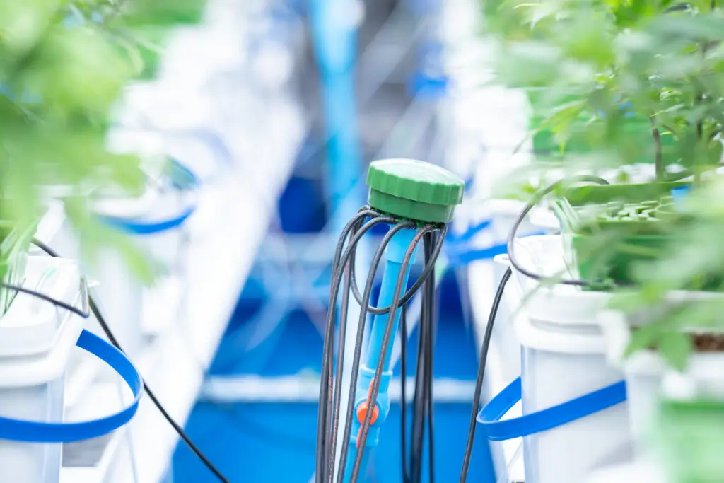 Fertigation delivery