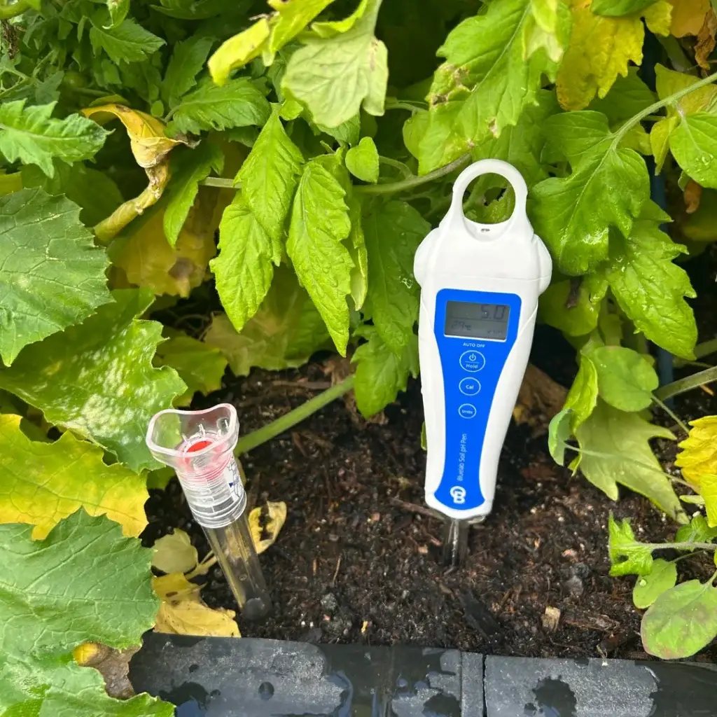 Bluelab Soil pH Pen being used to test garden bed pH before amendment