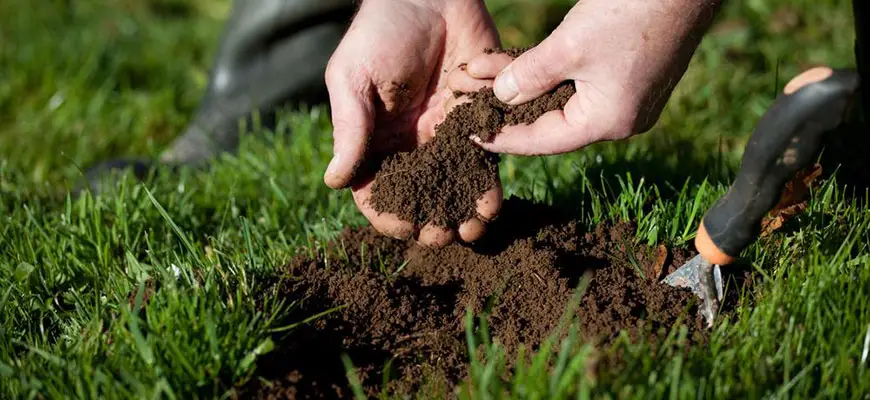 Garden soil testing