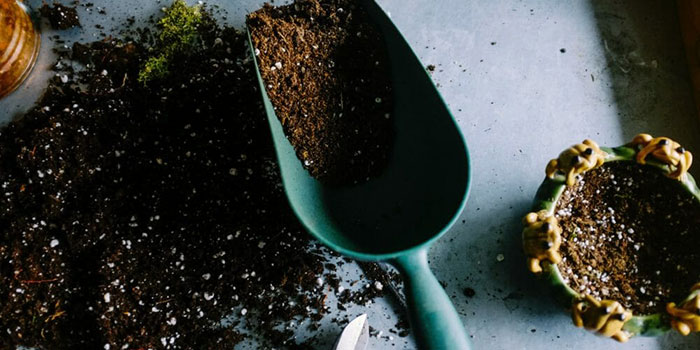 coco-with-soil Can I Mix Coco With Soil?