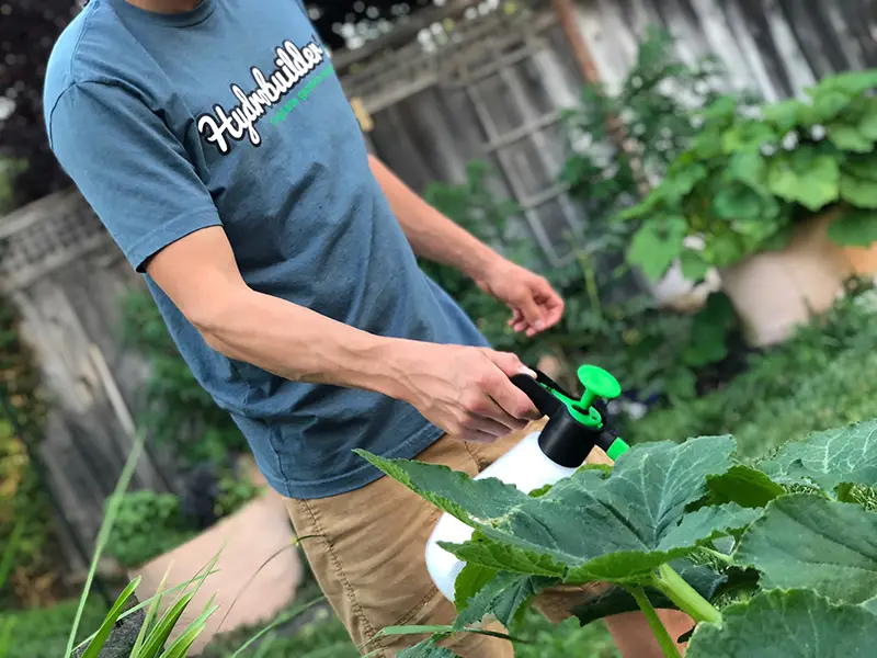 Spraying plants for PM