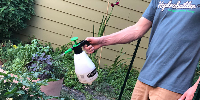 sulfur Does Sulfur Keep Bugs Away?