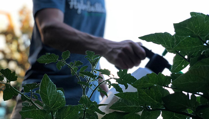 Are Insecticides & Fungicides Safe?