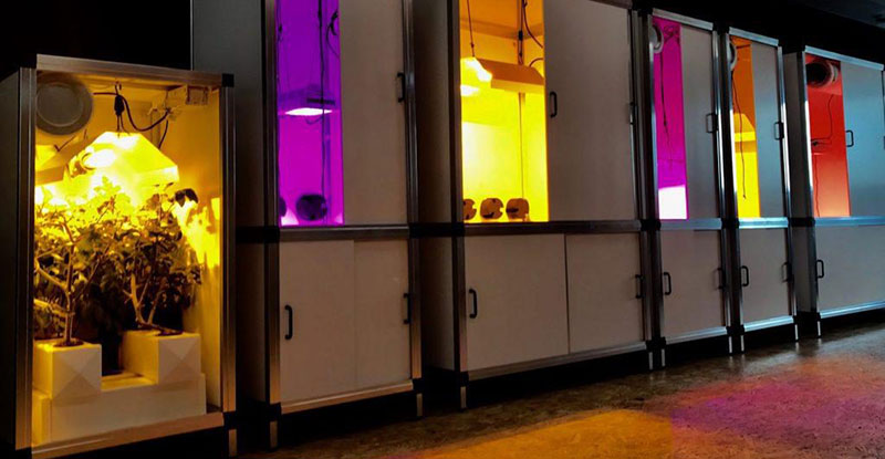 stealth-grow-box Growing In A DIY Stealth Grow Box